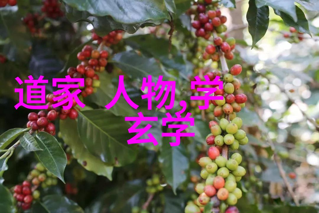 追逐梦想的旋律阿司匹林的着迷探秘