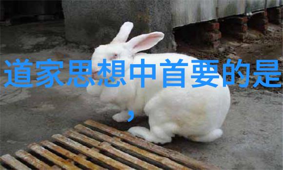秘笈解锁探秘甄珠全文阅读的艺术与魅力