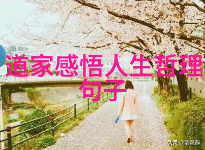 道士之路修炼与传承的艺术