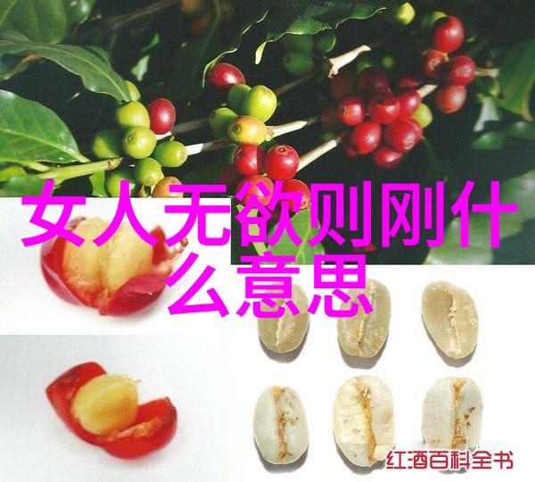 从黄帝到老子寻找最早的道家智者