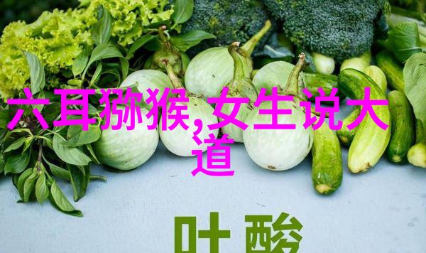 中国古代哲学大师们之间的对话孔孟与老庄的辩论录