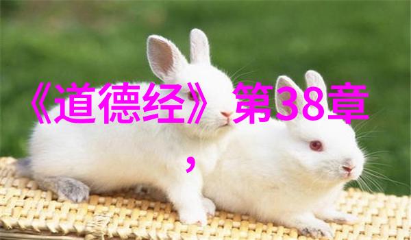 道家经典-探索道家的智慧十部不可忽视的经典书籍
