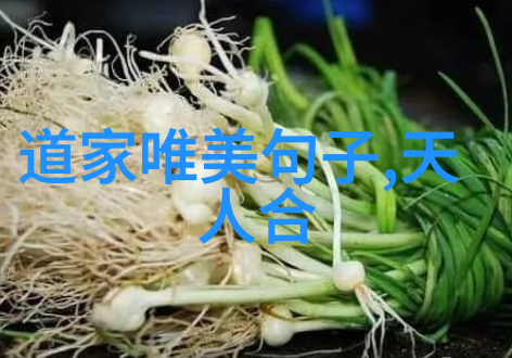 无欲则刚逆袭者与权谋的对决