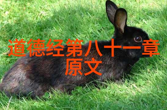 九字真言解锁古老秘密揭开生命之谜