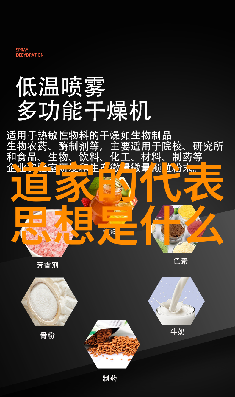 中国道教至尊神祇老子之道