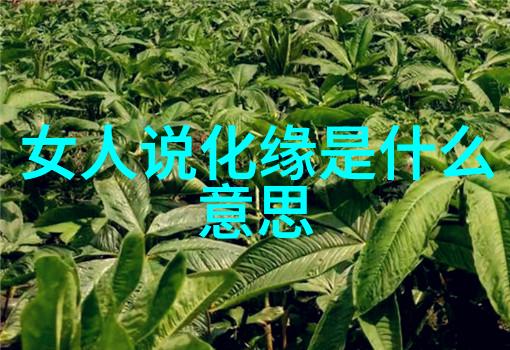 道教圣贤灵魂的飞翔
