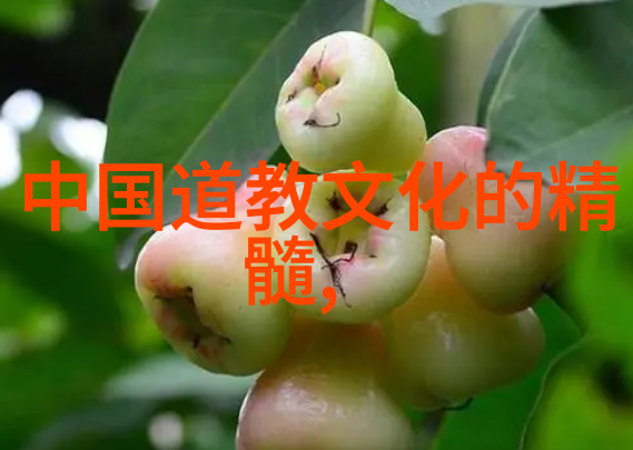无欲则刚探索内心的力量与平衡