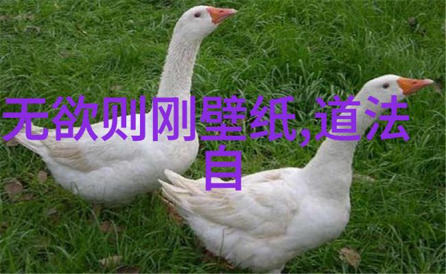 好几天没干了想你了视频-隔夜的思念好几天没干活的心意告白