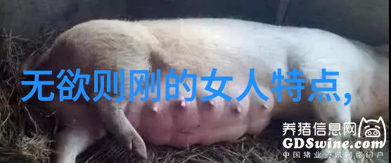 文人墨客的艺术追求探索兰亭序中的书法魅力