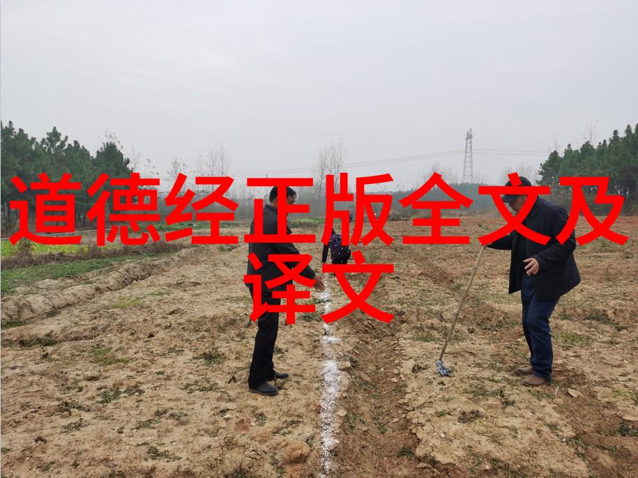 古韵流长唐代诗人的情感探索