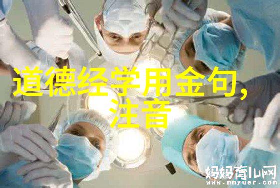 道家理念在中国文化中扮演了什么角色