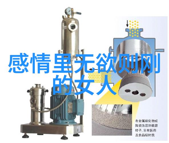 大道至简的哲学探究简化为实现效率与精准的智慧