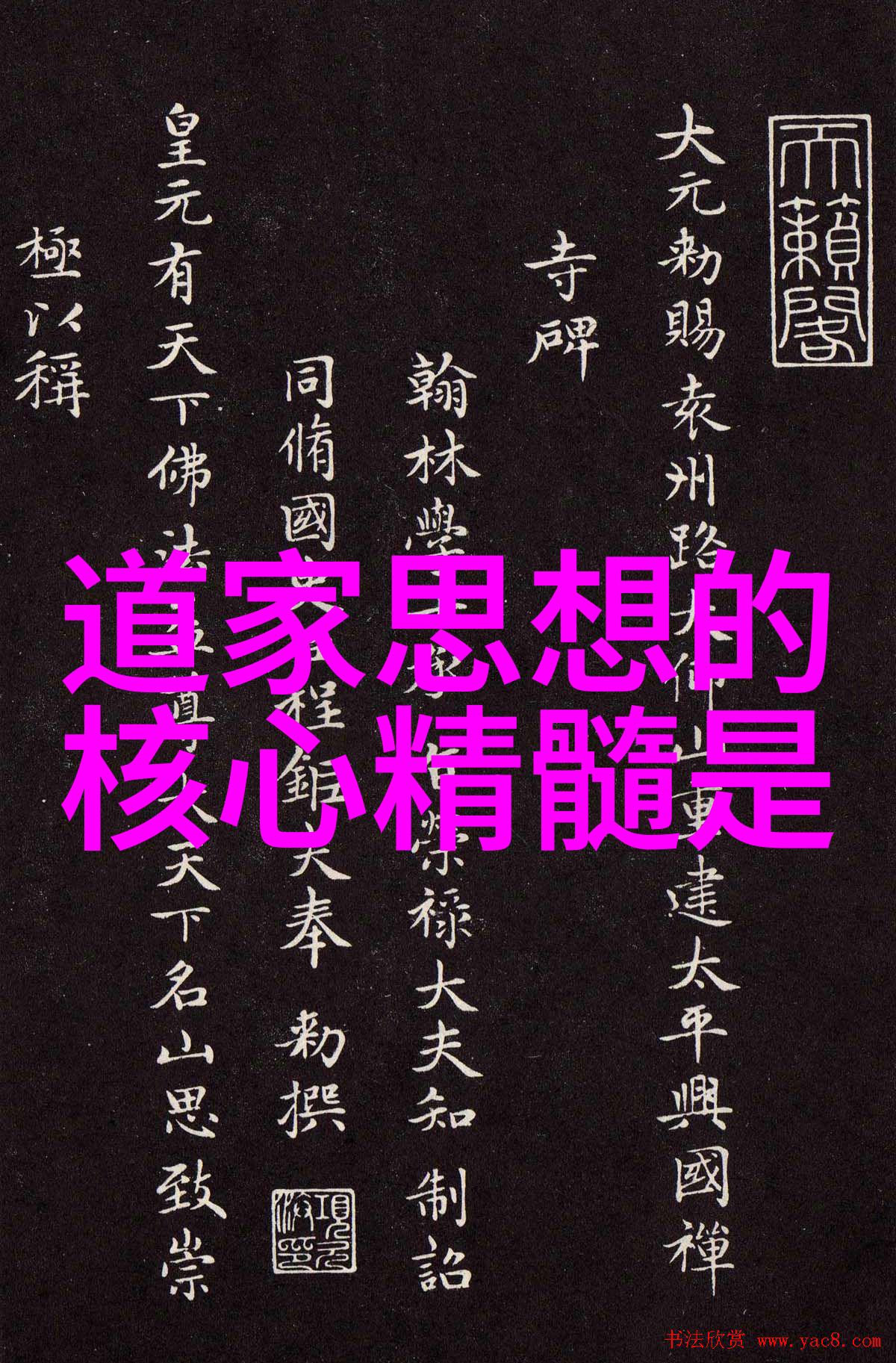 无欲无求的女人追逐内心自由的生活方式