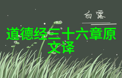 帝王术的哲学根源探索法家与道家的对比