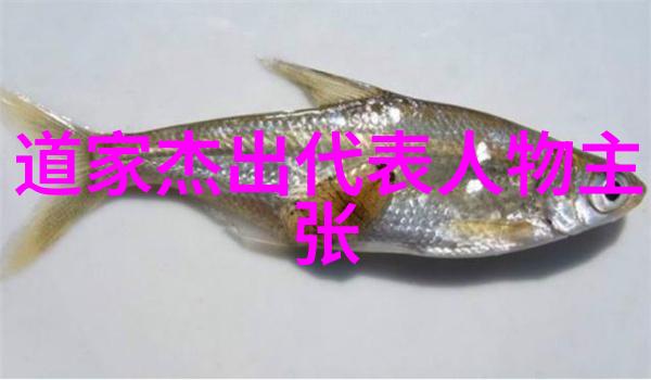 道家智慧的传承者从老子到张岱的文化探索