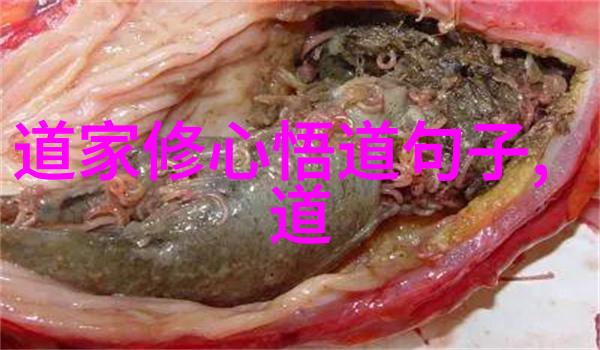无为而治顺应自然之法则道家的政治哲学解析