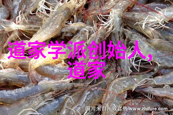 道家八段锦教学视频完整版我来教你如何做这套经典的太极拳