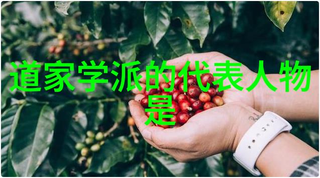 古典智慧的免费之道探索道德经拼音完整版的魅力