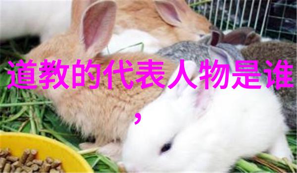 诗韵宝库名诗名句摘抄大全精选