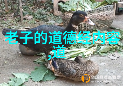 什么是无欲则刚我为什么突然对无欲则刚的道理感到好奇