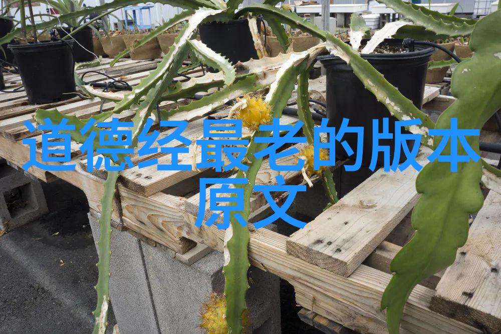 道教神像供养礼仪清风岭天然道观的自然之美