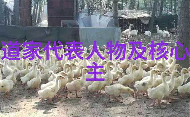 古韵悠扬淡雅唯美古风意境中的诗篇