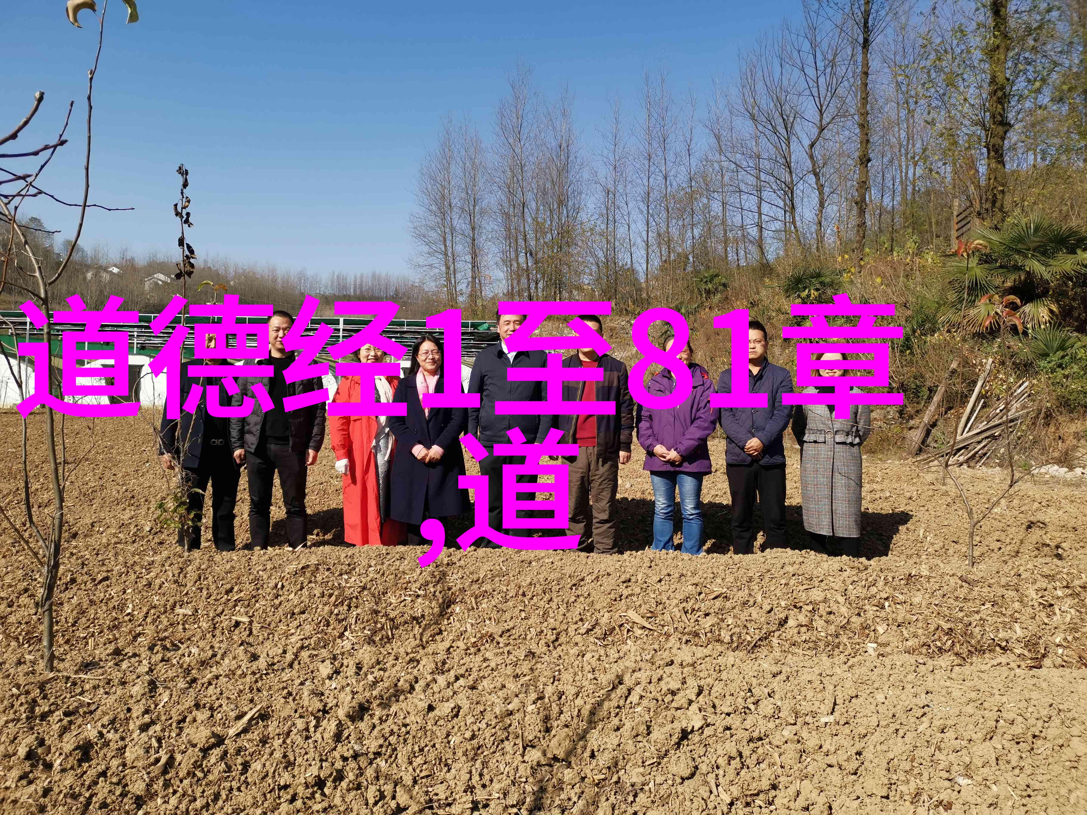 文字是画布笔尖是彩笔创作最动人的楷书艺术品