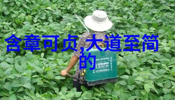 天地不仁以万物为刍狗兼谈生命观与宇宙观