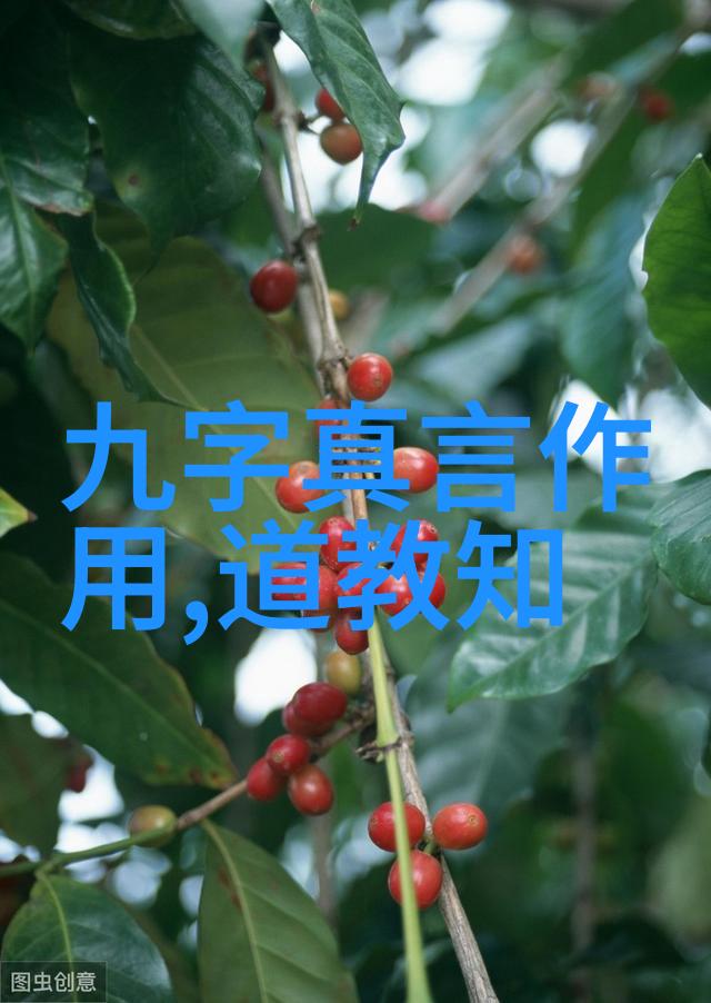 纤细如丝的脉动与坚韧如磐石的背影