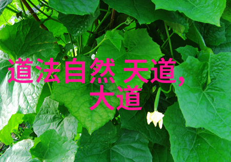 探索修道之路入门指南与心得体会