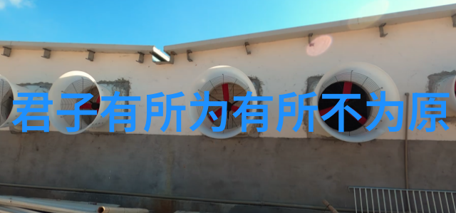 老子道德经感悟老子的智慧我是如何从这本经典中悟到生活的真谛