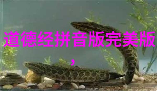 道教智慧的传承者探秘与神仙同行的奇人奇事