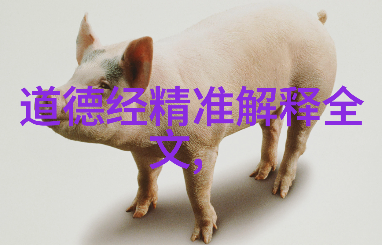 国展书法艺术墨迹中的文化纹章
