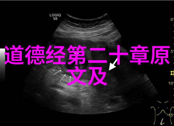 借口txt咱们的懒惰大作文