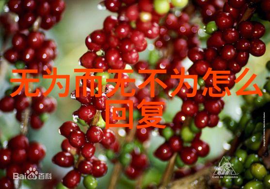 道德经之韵律与智慧从1至81章全文拼音的深层解读