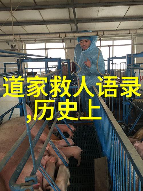 道家哲学与神仙修炼探索道教的源流与实践