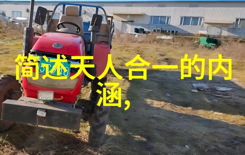 情感中的刚毅无欲之心的力量