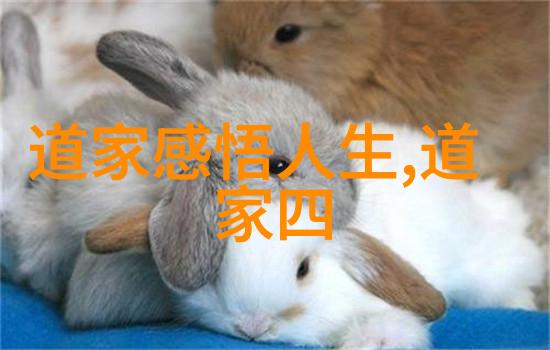 与时俱进不强求庄子对工作态度的启示