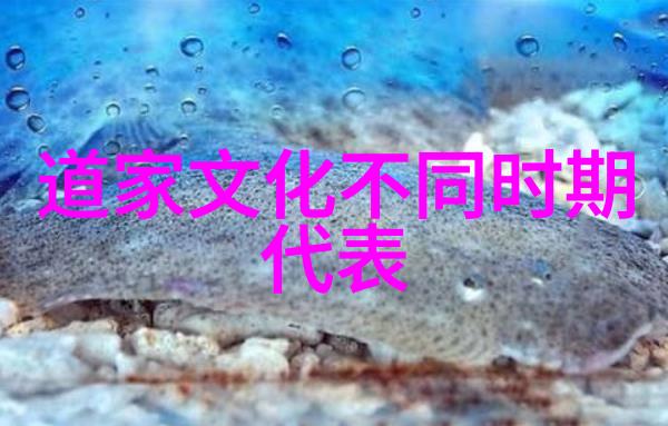 魔法之旅通过游戏理解道家萌宝的智慧