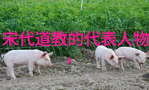 是不是只有放弃努力和追求才能实现真正的人生自由