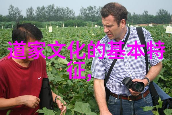 慈悲的最高境界情感的无限涵盖与智慧的深远融合