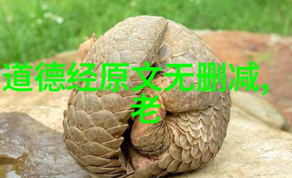道学经典句子心存仁爱道自明显