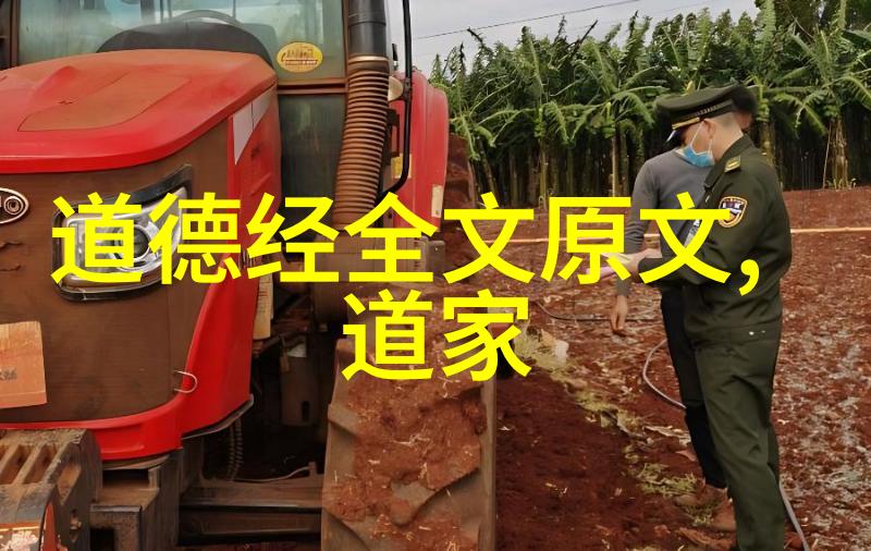 钢铁柔情无欲之女的智慧与刚强