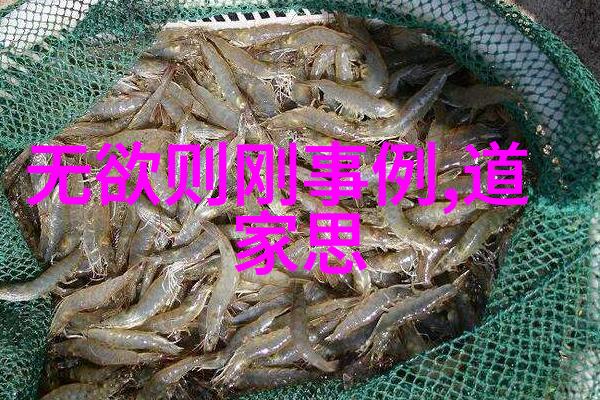 易经中的智慧如何应对现代生活压力