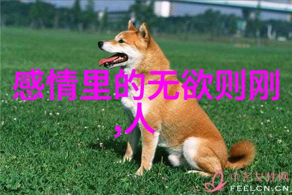 功德无量探寻佛教圣言的深远意义与下一句之谜