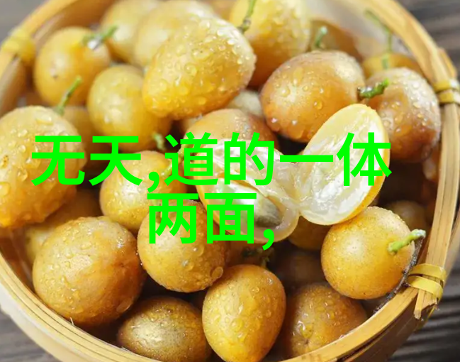 中国近代道家代表人物王重元的道学思想革新