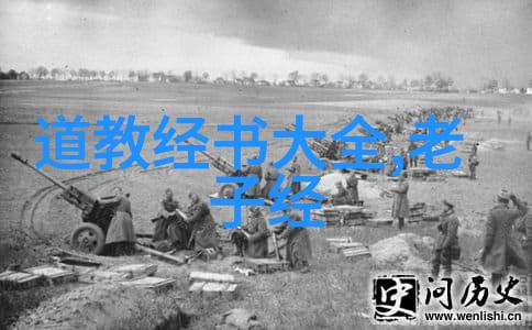 陆九渊道教修行与自然和谐论述