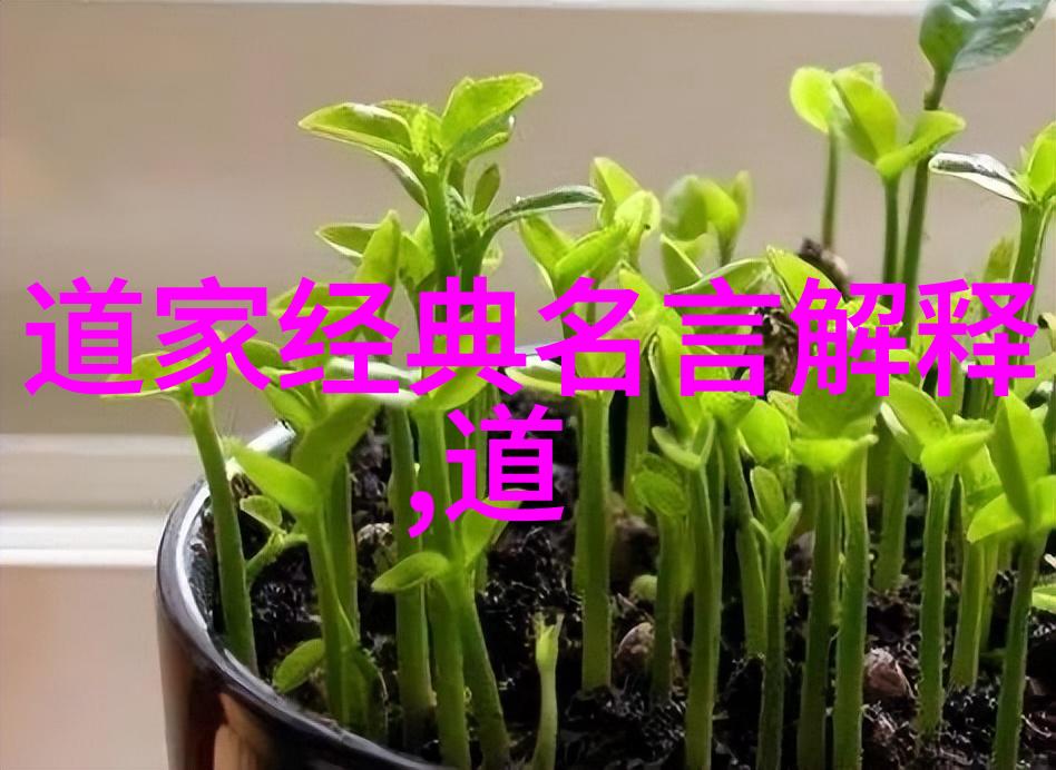 速成内功揭秘打通小周天的绝技