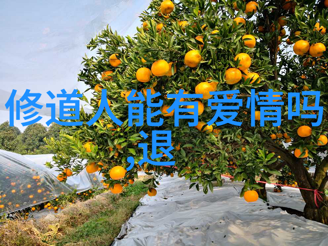 恶魔的枕边人揭秘与幻想