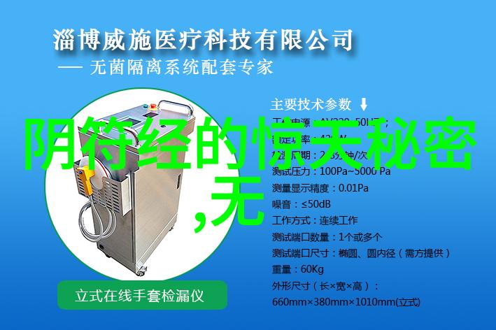 天幕下的隐秘观察